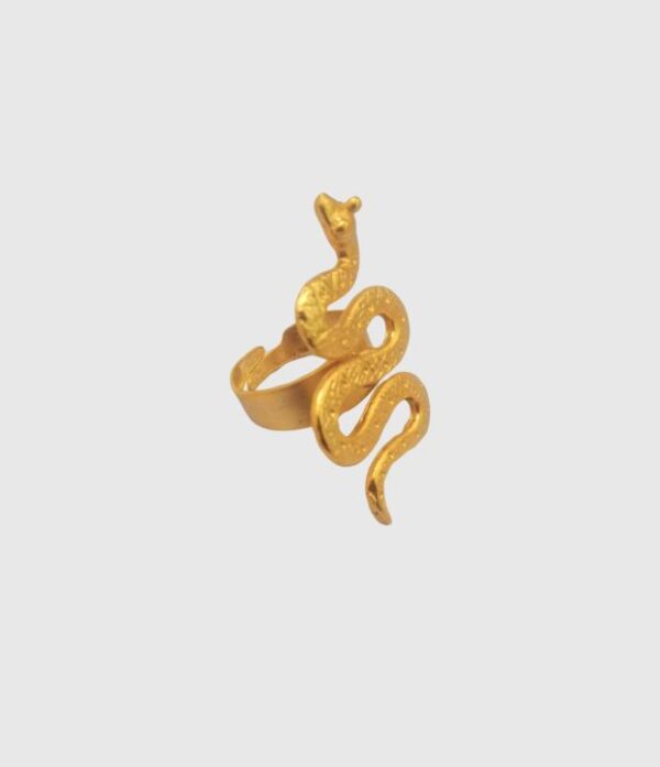 Anillo con diseño de serpiente