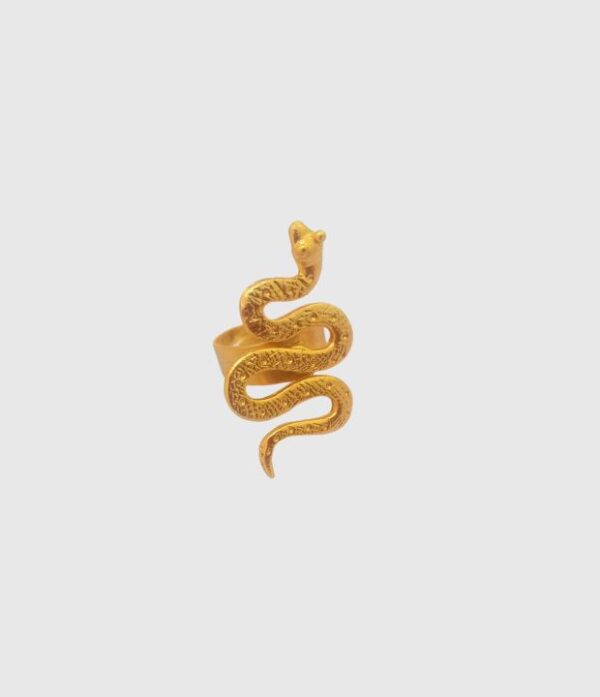 Anillo con diseño de serpiente