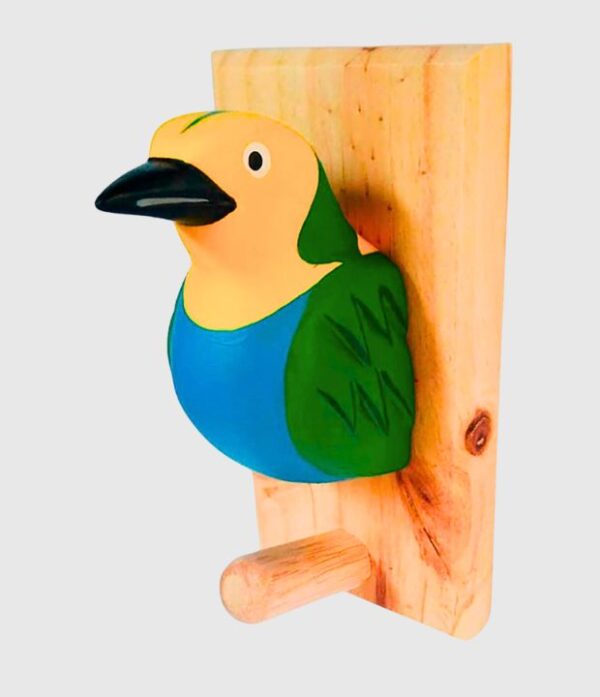 Tangara Multicolor